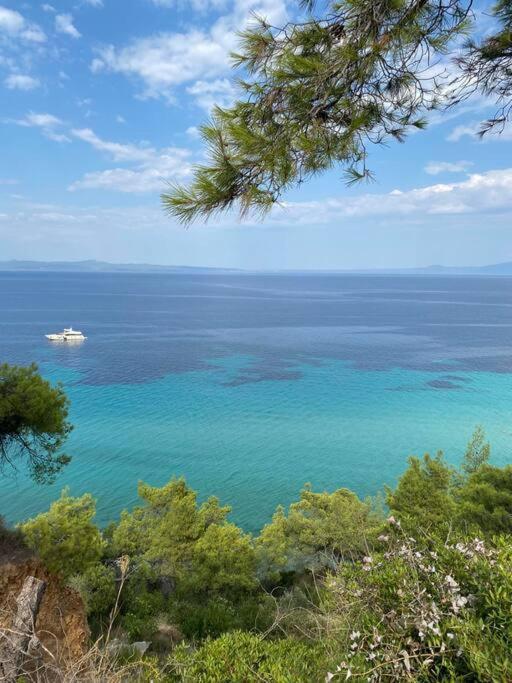 Villa Olion Afytos Esterno foto